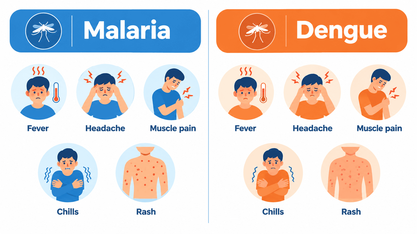 Malaria Test in Dubai: The Complete Guide to Types, Accuracy, Cost & Home Collection (2026) 3 malaria